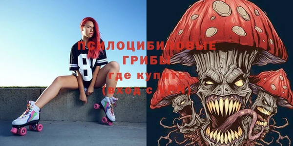 индика Абинск
