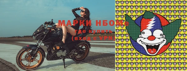 индика Абинск