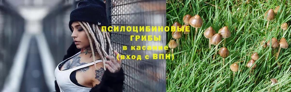 jwh Абаза