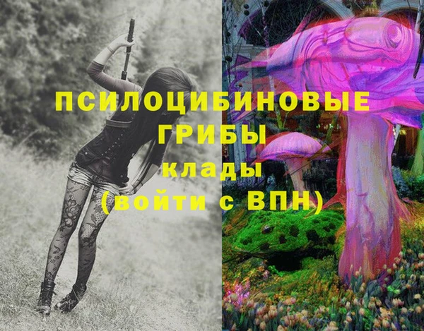 индика Абинск