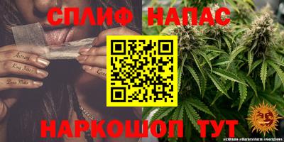 стафф Партизанск