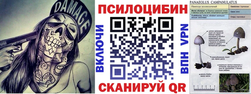 Галлюциногенные грибы мицелий наркошоп Шарыпово