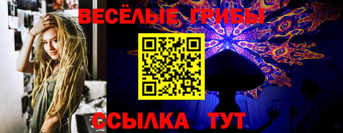 Шарыпово  Псилоцибиновые грибы прущие грибы  Вход с VPN 